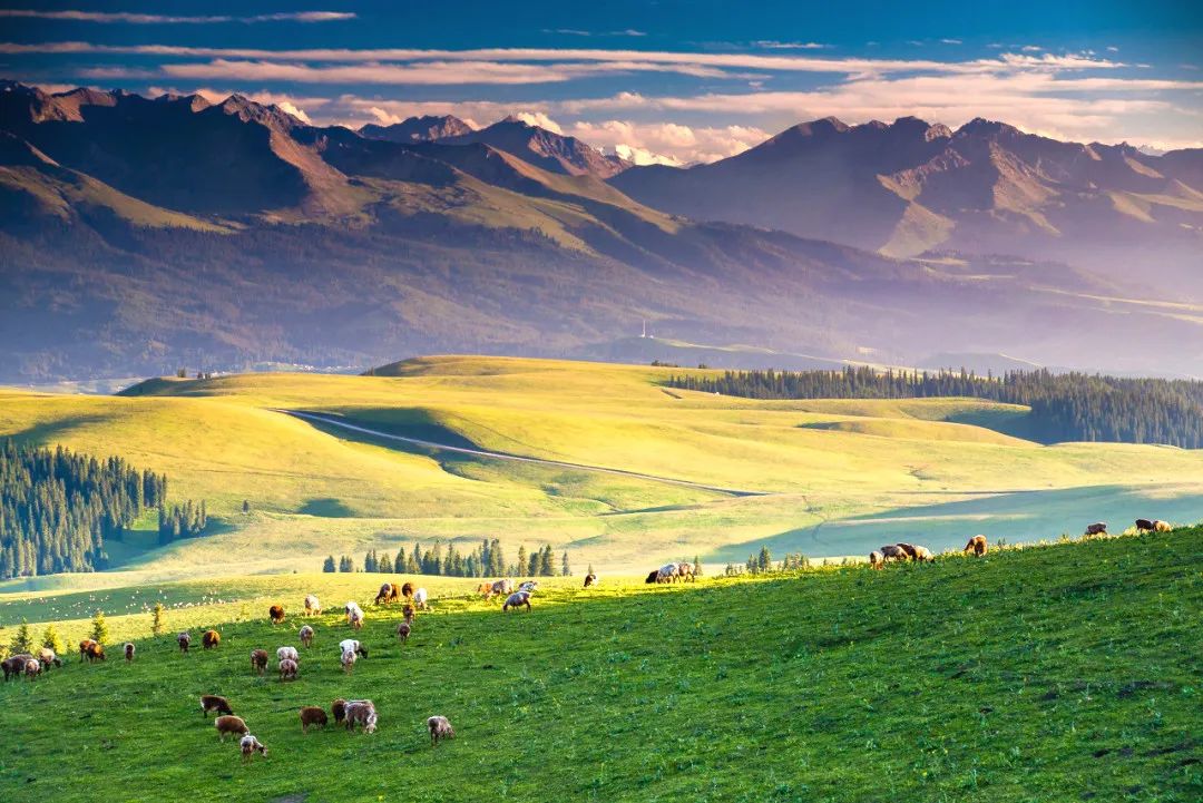 那拉提空中草原雪景照片,大草原的壮丽雪景图
