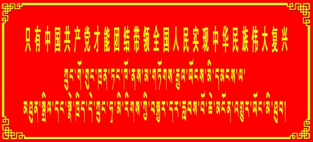 桑珠孜区最新发布,桑珠孜区第三批有序复商复市公告