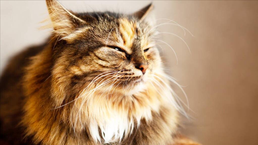 北京做无痛的胃镜多少钱,北京无痛胃镜大约多少钱