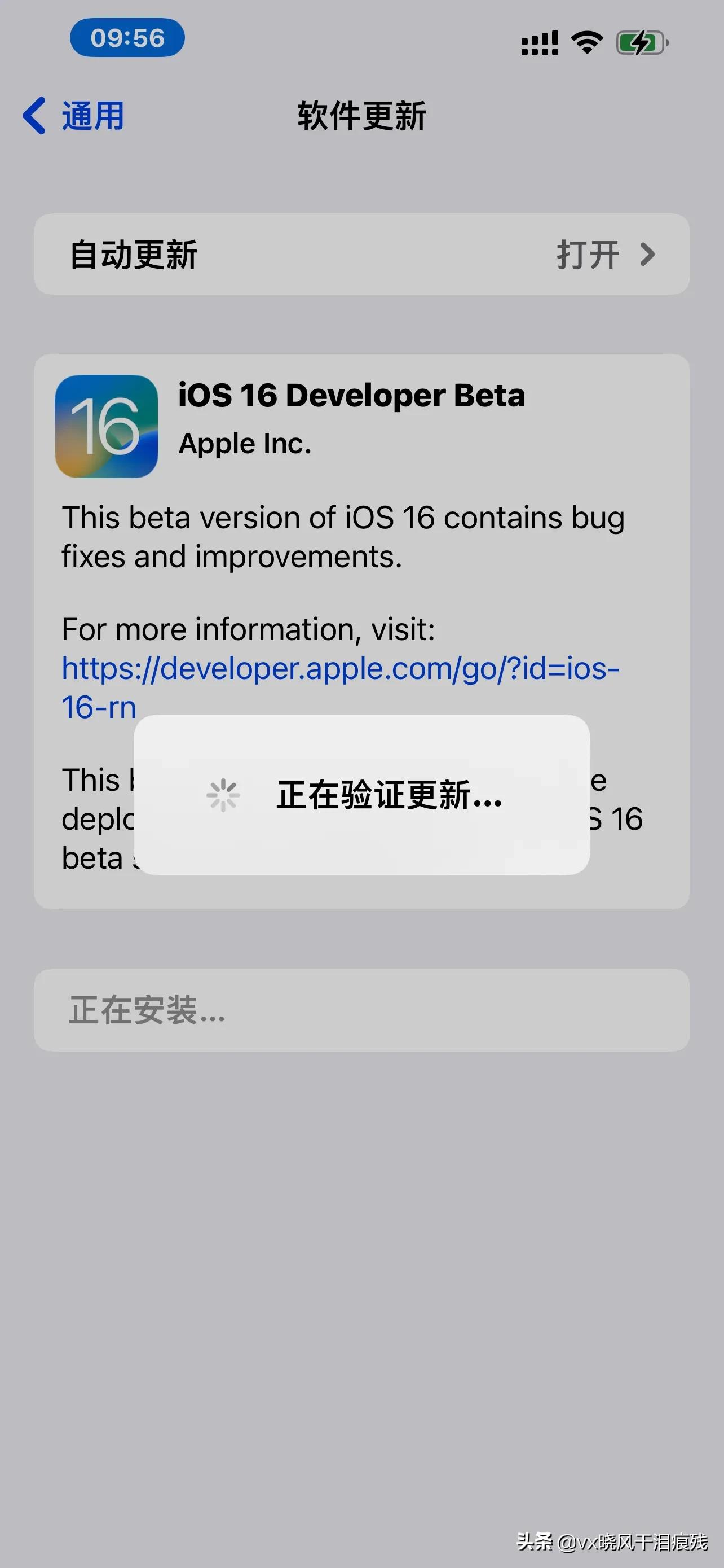 ios16描述文件下载,ios描述文件有风险吗