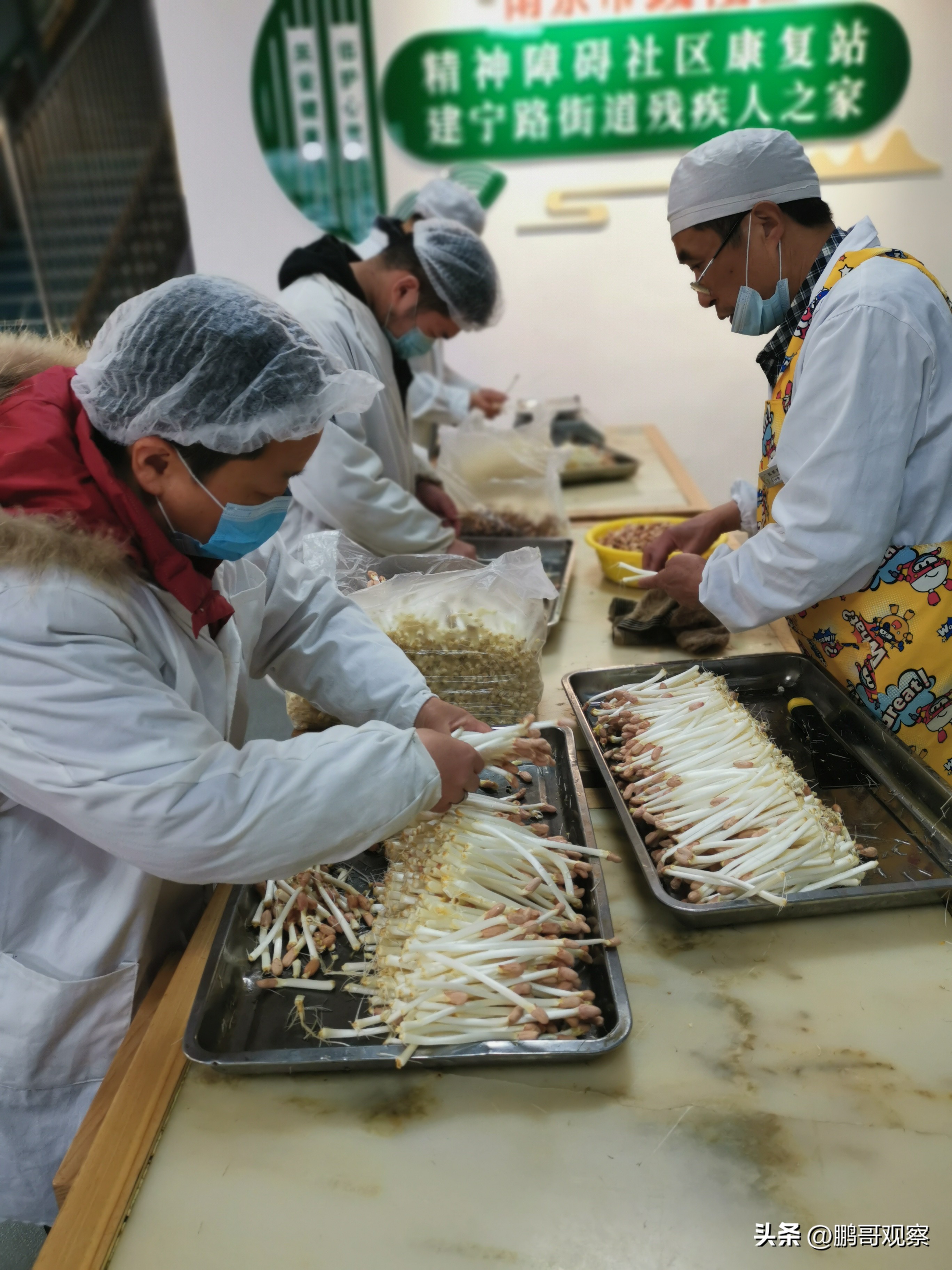 让爱的种子生根发芽,让爱在心中生根发芽