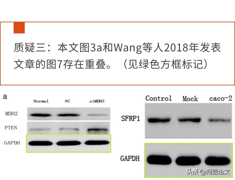 因真假难辨的WB条带，上海市第一人民医院的论文引得同行评议