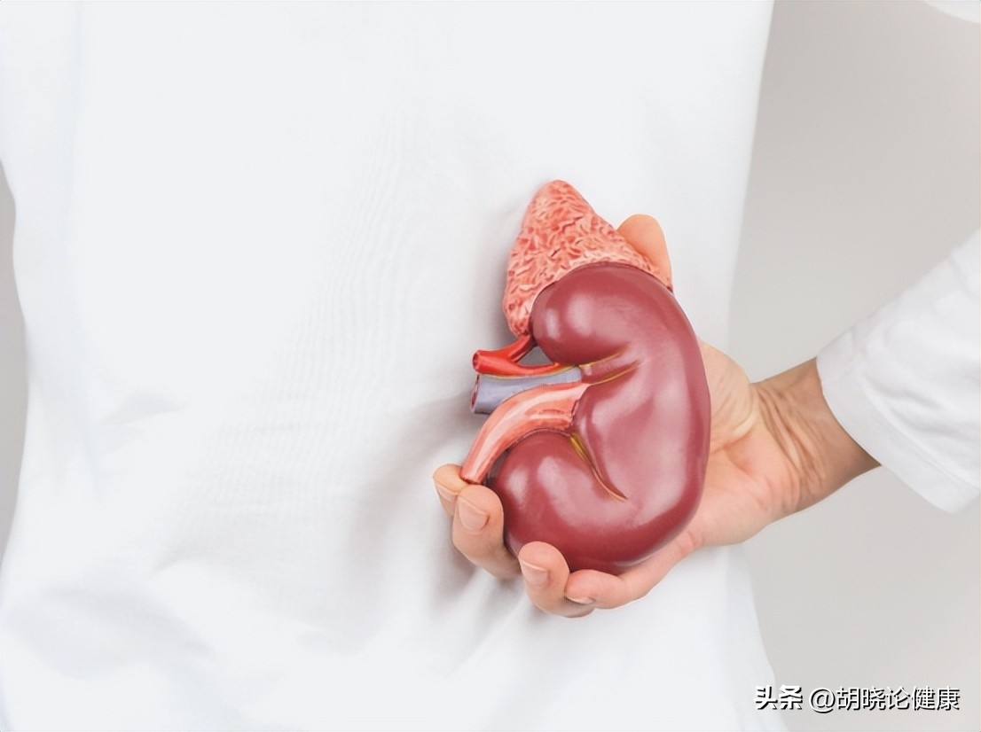 尿路结石的饮食要注意些什么,小儿尿路结石常见症状