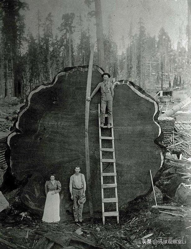 20世纪恐怖诡异图片,7张19世纪的诡异照片