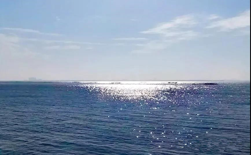 郭小川团泊洼的秋天,团泊洼的秋天读后感