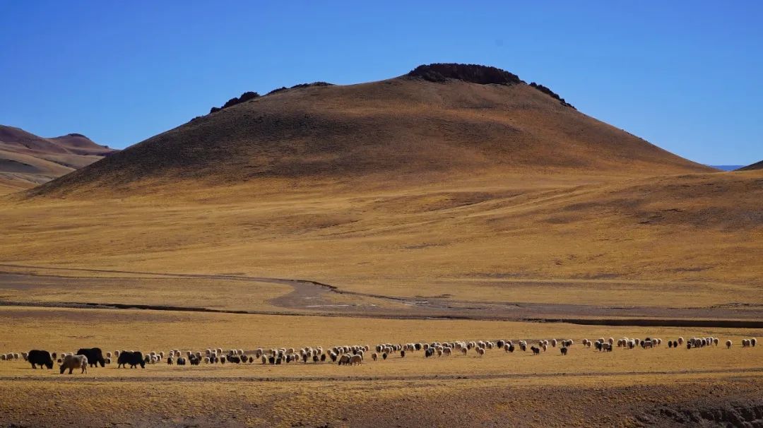 自驾穿越西藏最危险的路,4800公里川藏线穿越