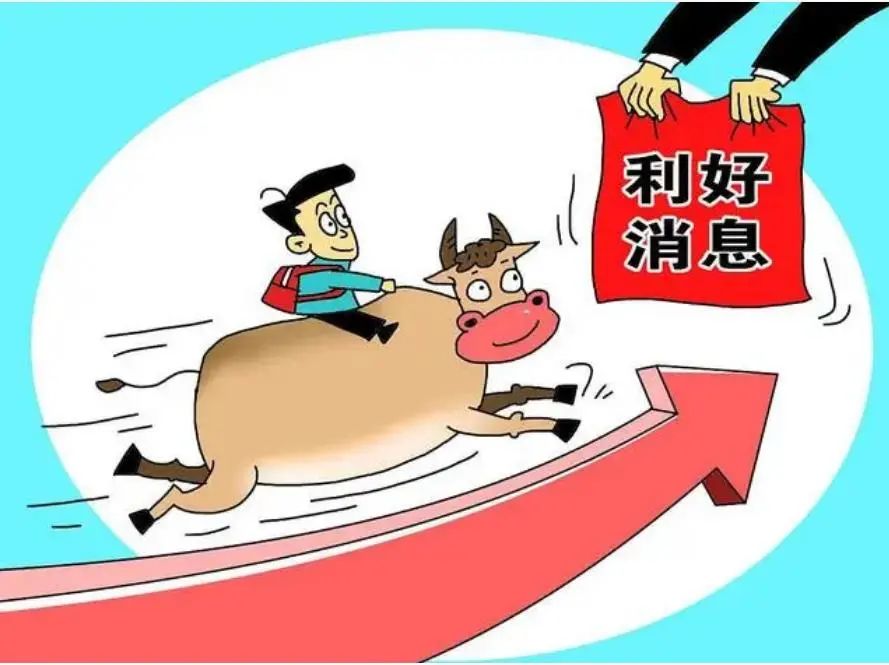 散户必看的操作方法,散户如何抓住最大的投资机会