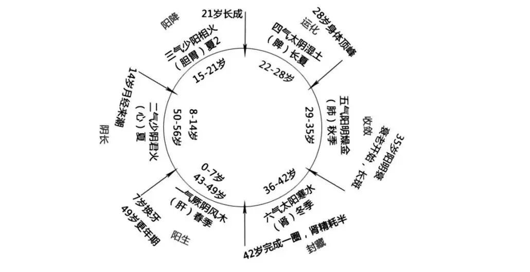 *褐斑黄**怎么祛?我看到沙滩上的一堆垃圾,彻底明白了