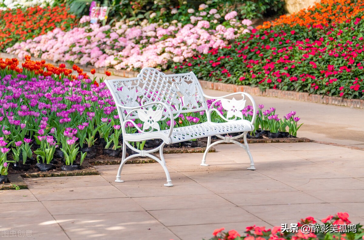 三年级上册语文花的学校重点讲解,三年级上册花的学校课文讲解重点