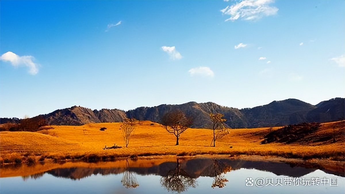 关于去九寨沟的日记,去九寨沟旅游攻略怎么写