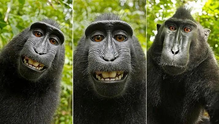 如何让chatgpt改编爆款小说,怎么用chatgpt写爆款文章