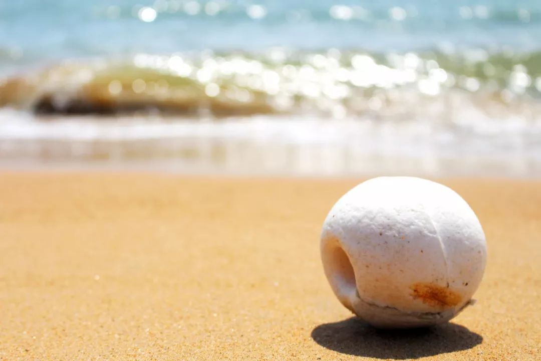 有山有海有人文，将家安在景区里丨日照东方*阳城太**