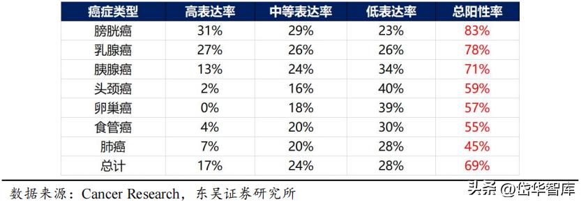 有效避开内卷，迈威生物：ADC锋芒初显，快速成长的Biopharma