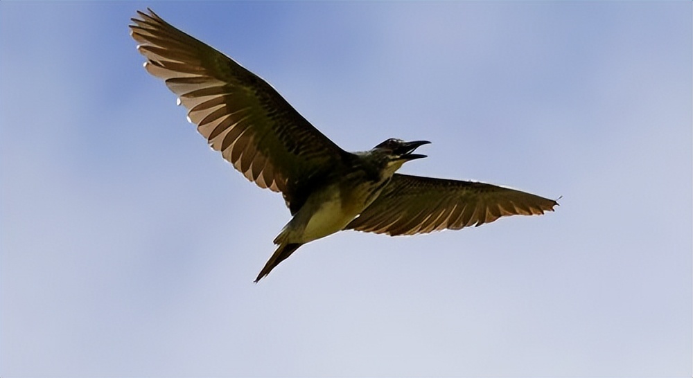 我们在意境里眺望天空，俯瞰迷人的世界——白帆诗歌艺术欣赏