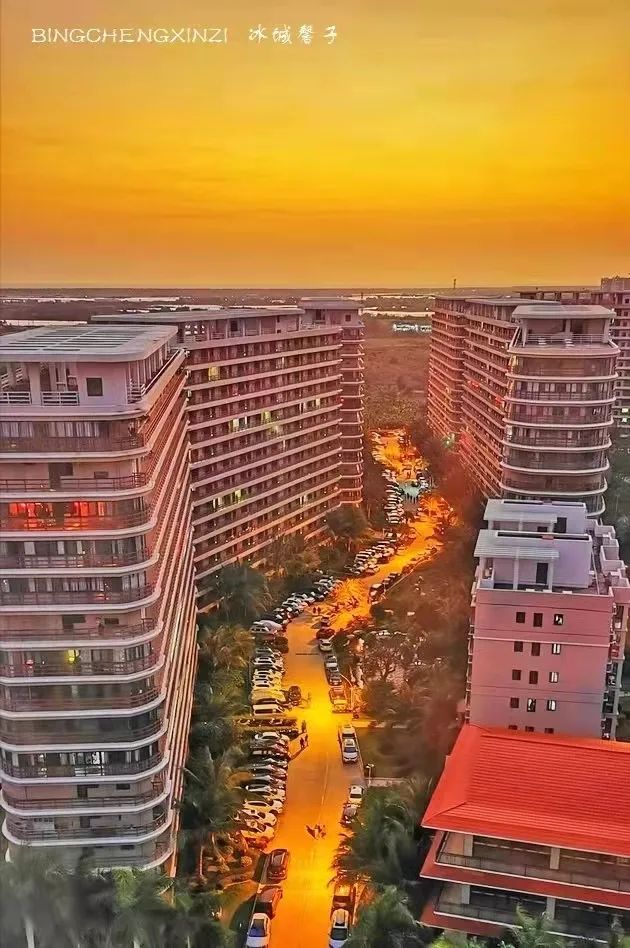 旅居海南：九所新区的浪漫情