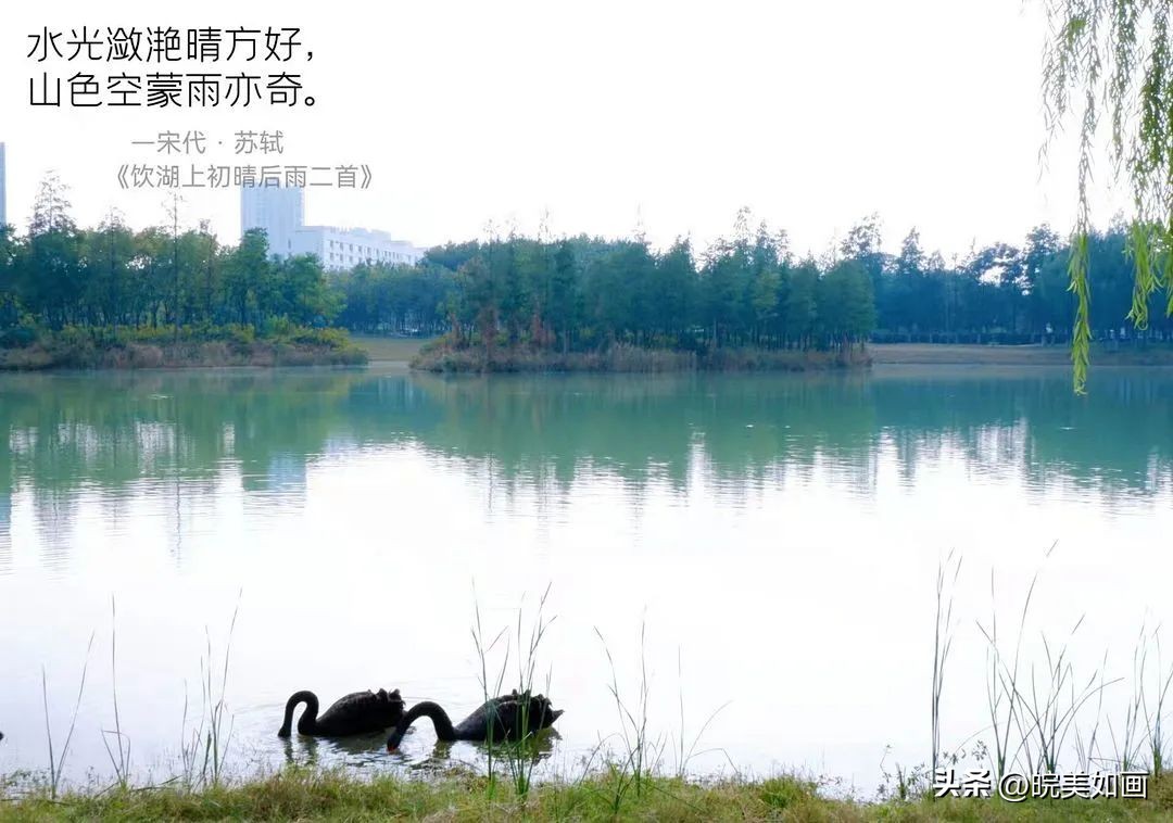 安徽大学好看的风景,高校最美秋景