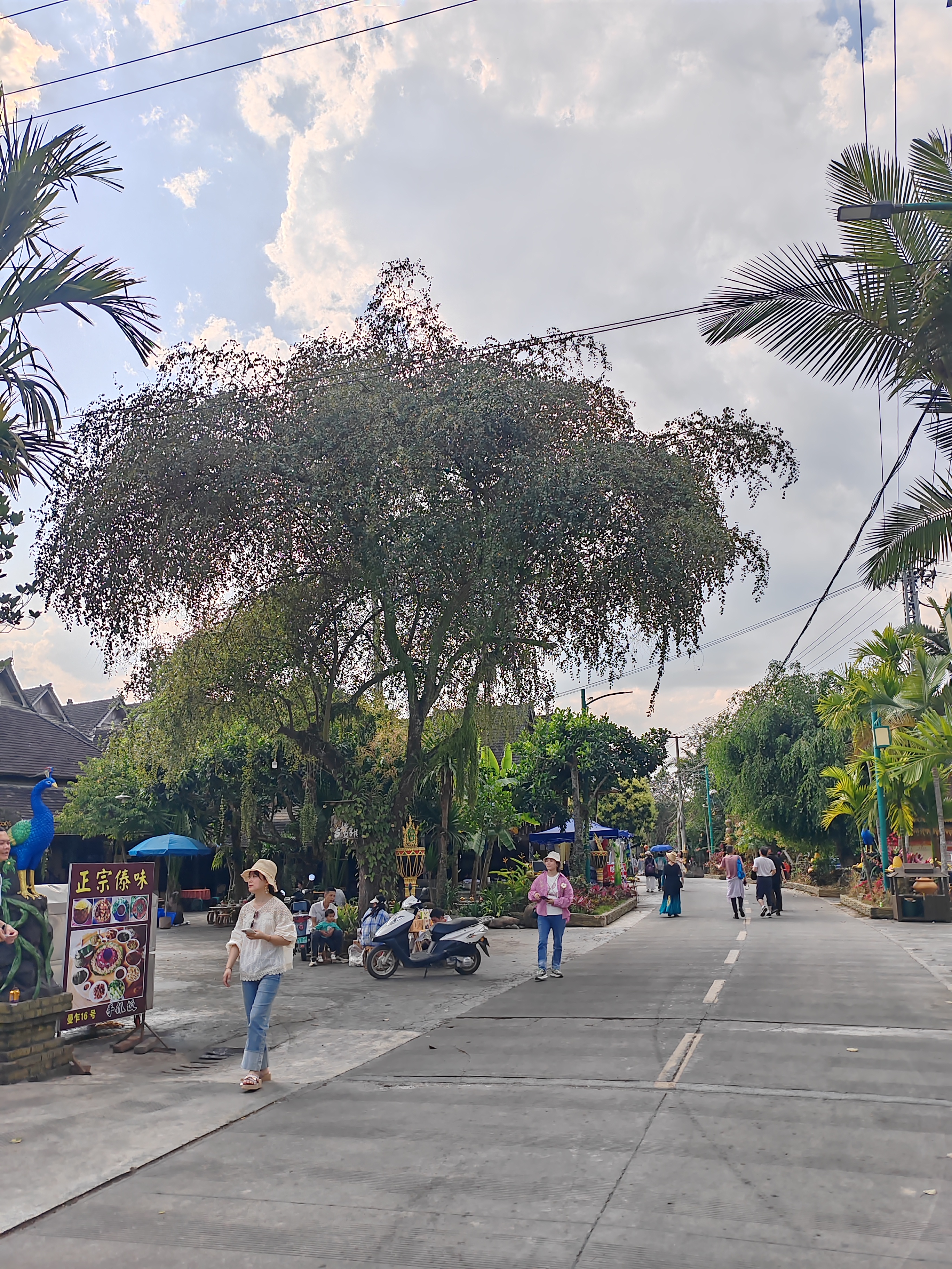 西双版纳傣族村寨和傣族园,西双版纳美丽的傣族园