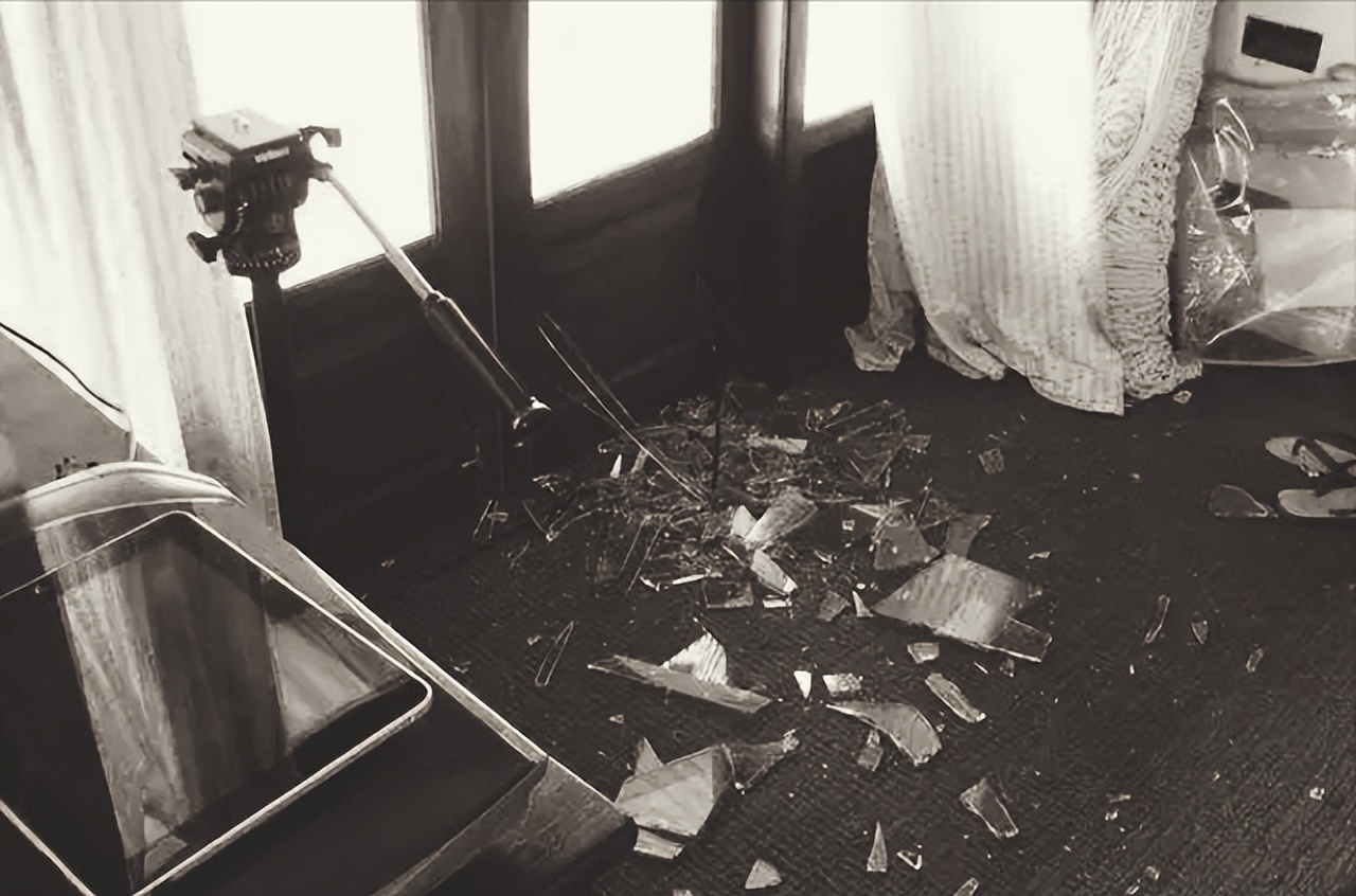 陈子美是怎么去世的,陈独秀之女陈子美