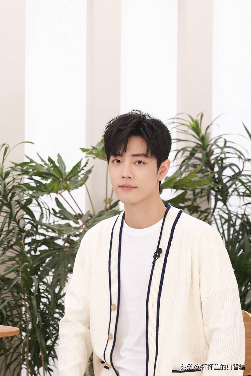 白鹿赵丽颖谁最受欢迎,被黑最惨的十个明星