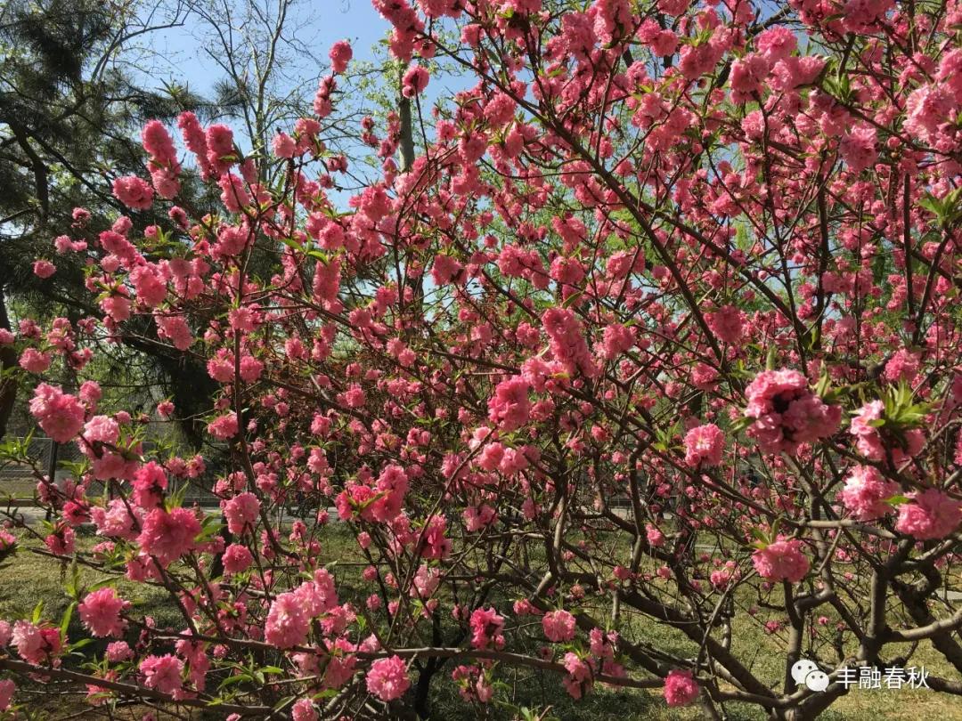 灏婇噸浠栦汉涔熸槸绛変簬灏婇噸鑷繁,灏婇噸鑷繁鍜屽皧閲嶄粬浜虹殑宸紓