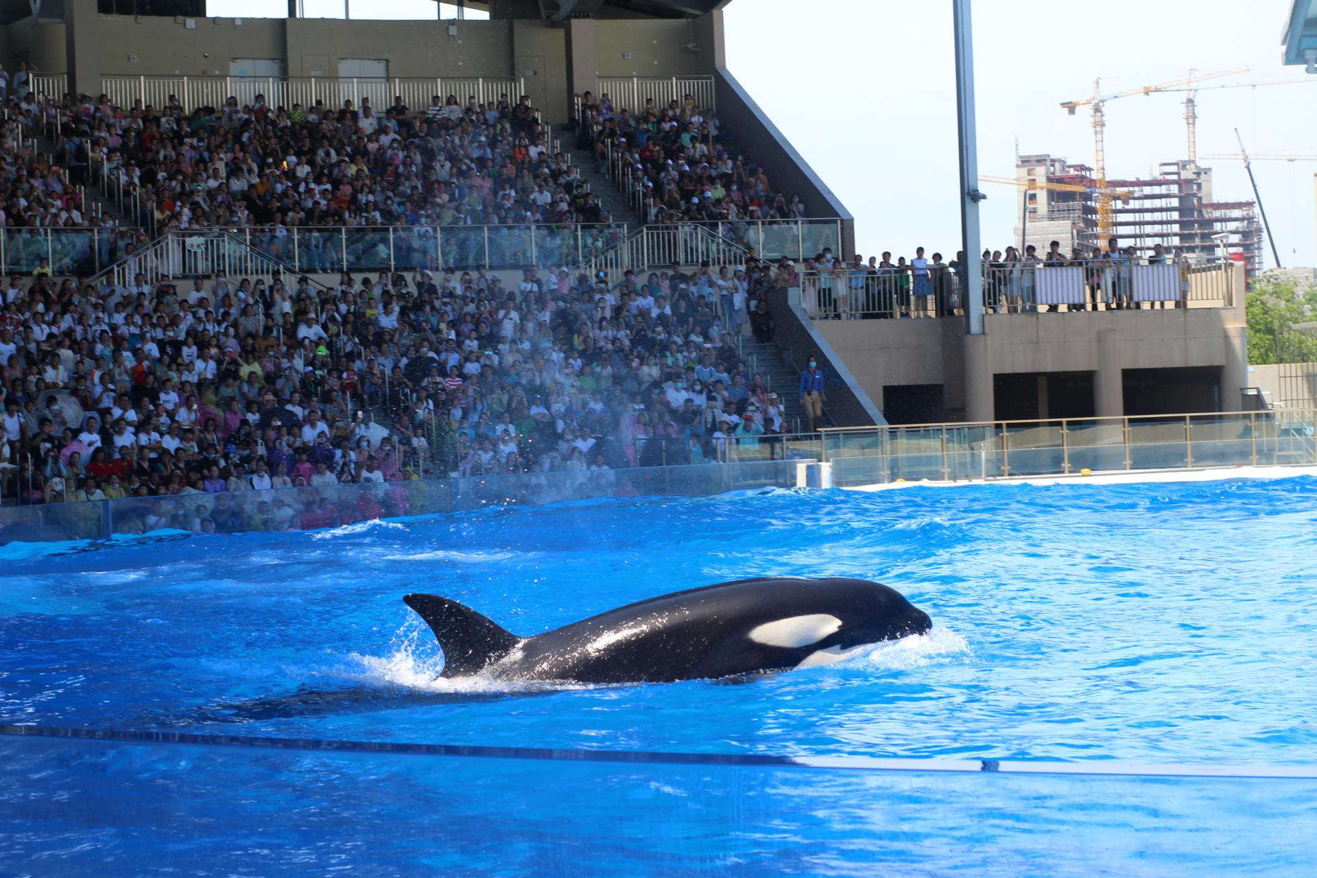 数码摄影入门器材推荐,穷玩摄影推荐预算100到300单反