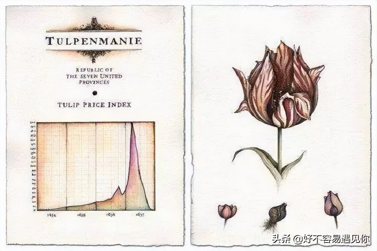 乌俄最新形势,俄乌荷兰战争最新消息