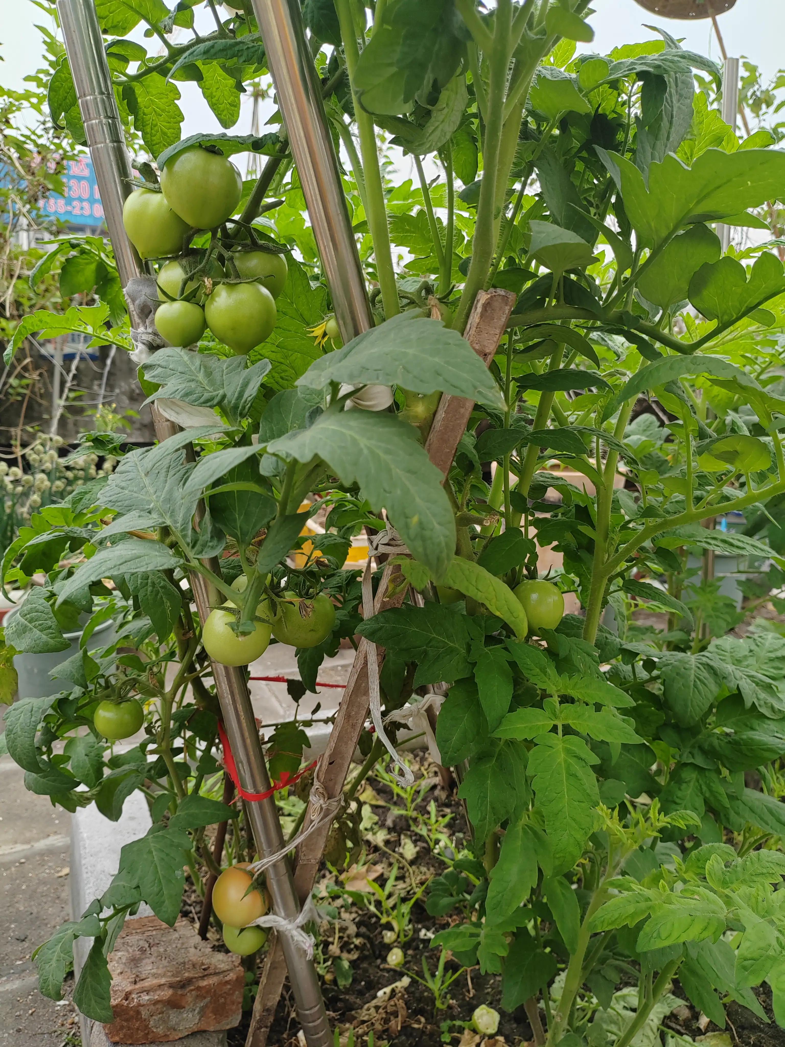 学习外贸跟单操作的收获,没经验怎么做外贸跟单赚钱