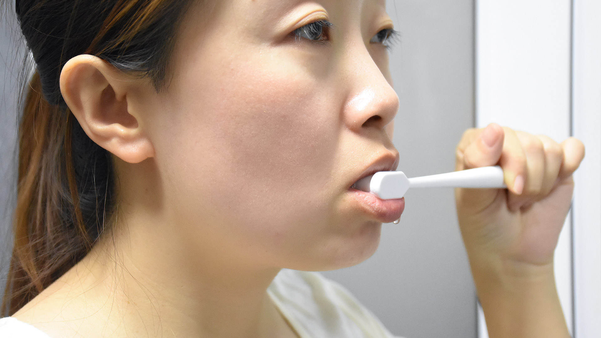 铚傝兌钖勮嵎鐗欒啅,铚傝兌鎶ら緢鐗欒啅娓呭噳钖勮嵎闀挎晥