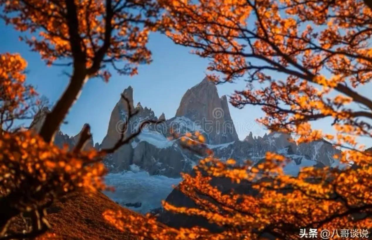 世界足球王国是阿根廷吗,神奇的迪马利亚