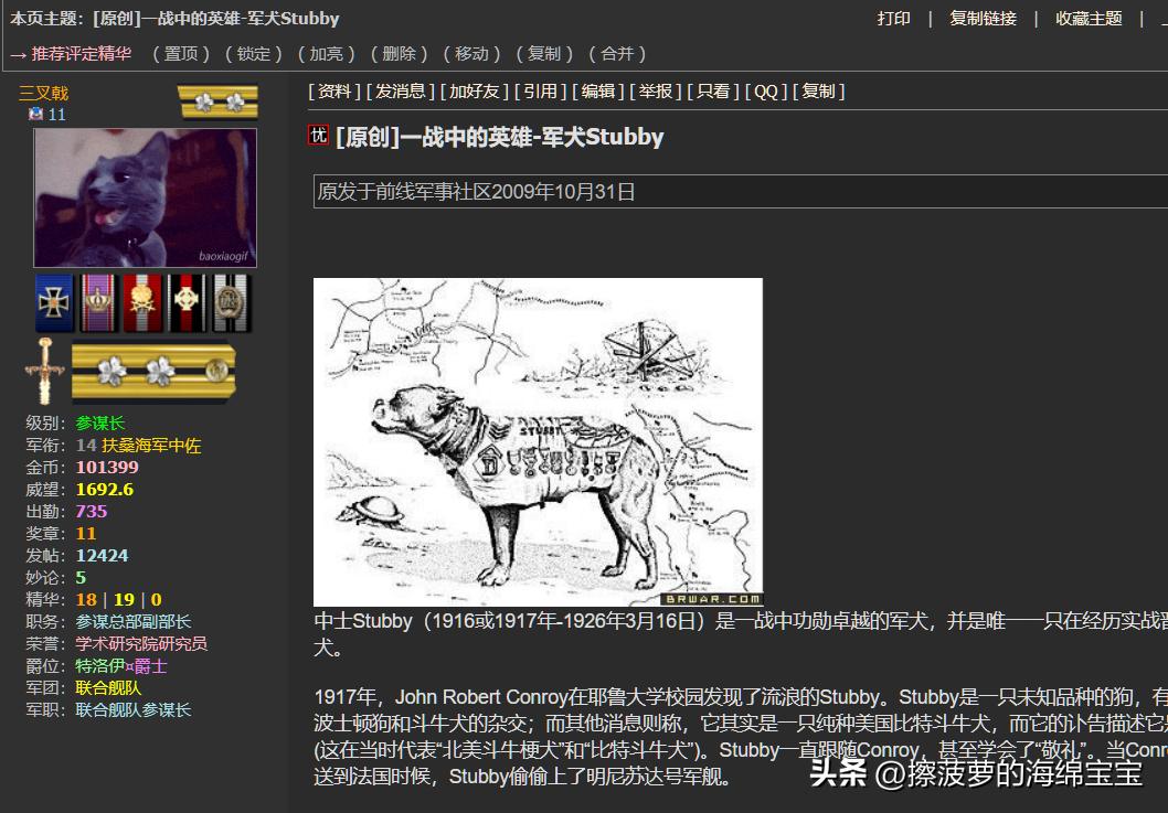 二战军犬传奇故事,一战斯塔比原型事件