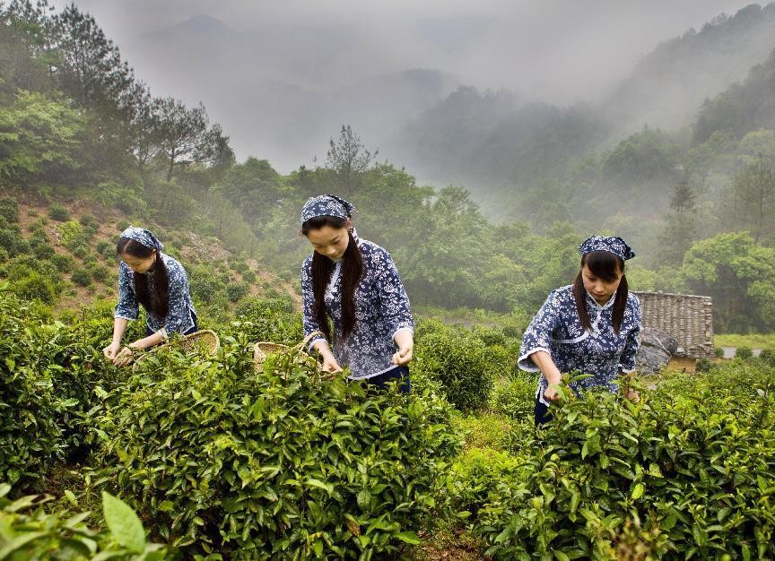 我和我的家乡一池山水千载诗城,一池山水一片净土