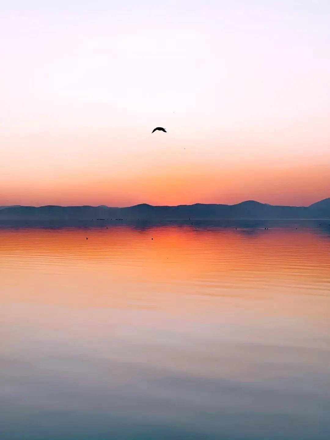昆明风景最美的地方,云南昆明哪个景点最美