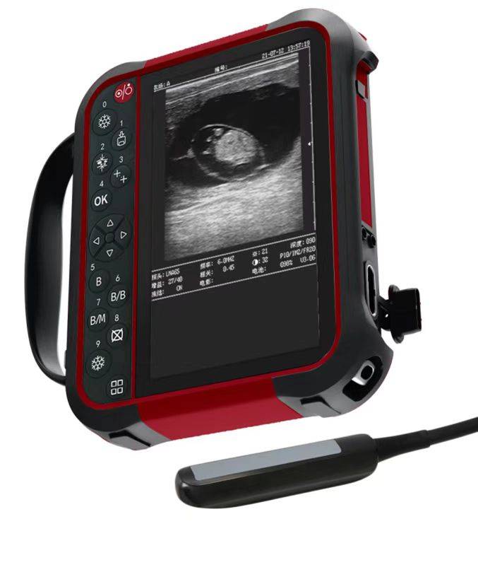 马用B超兽用B超检测母马发情怀孕方法步骤