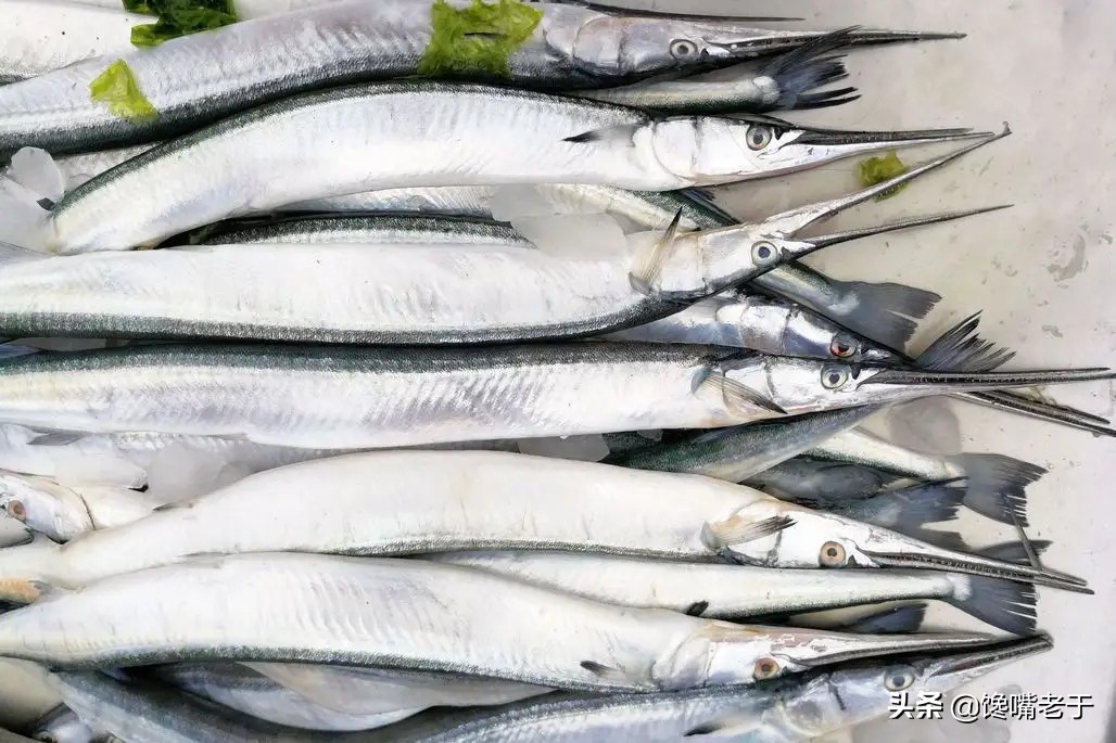 冬天最适合吃的五种鱼,盘点夏季必吃的十种鱼