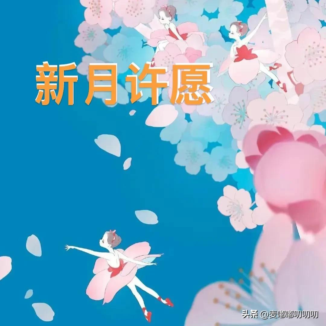 十二星座金牛月份运势,十二星座月份表金牛