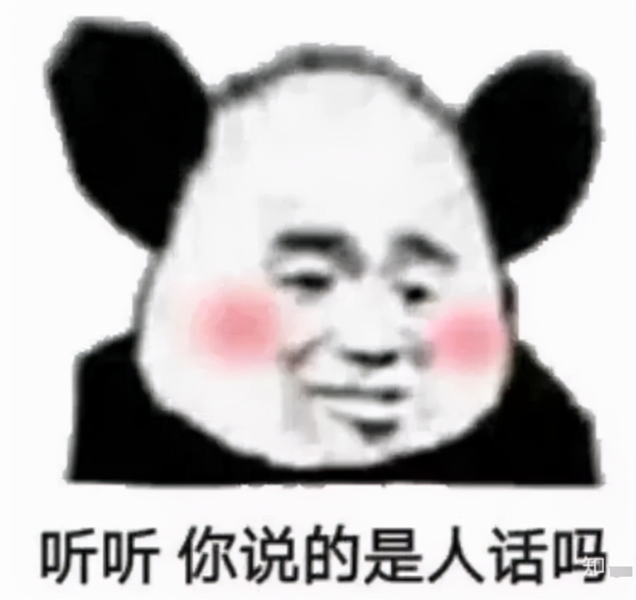 猫咪放屁熏醒主人,猫咪会放屁特别臭是为什么