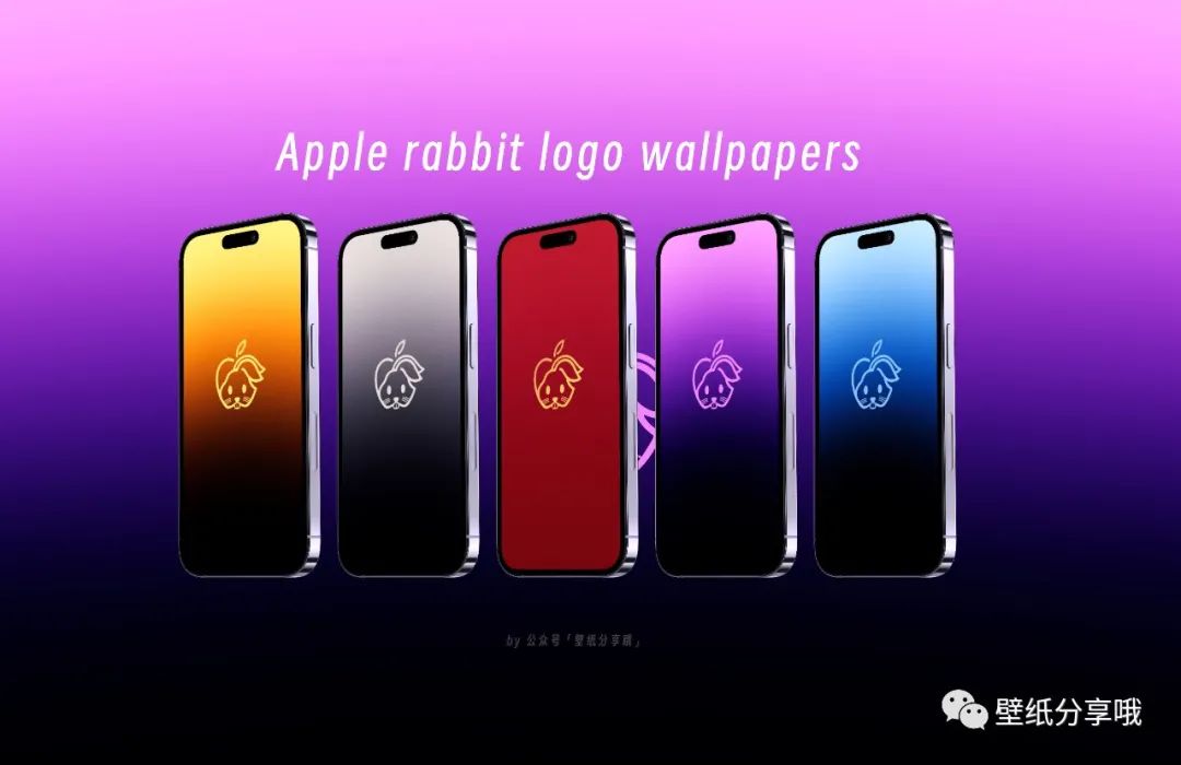 苹果兔年logo壁纸,苹果logo新年壁纸2024