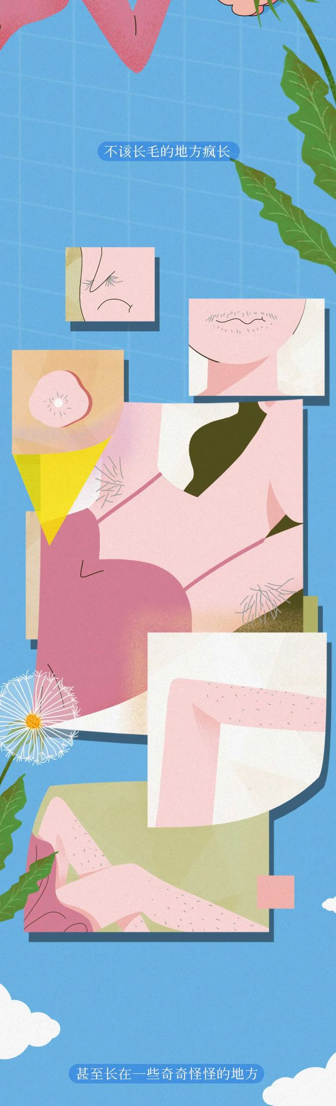 为啥「菊花」周围也会长“毛”？若是刮掉会怎样？网友：涨知识了