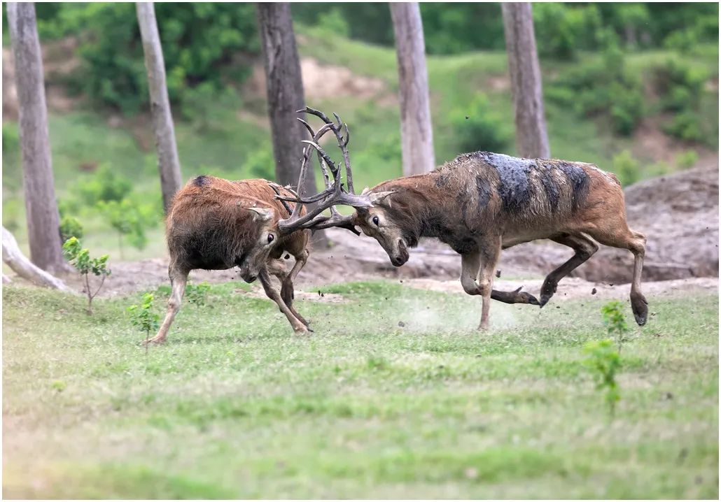 中国摄影艺术展获奖作品,北京国际摄影节获奖作品