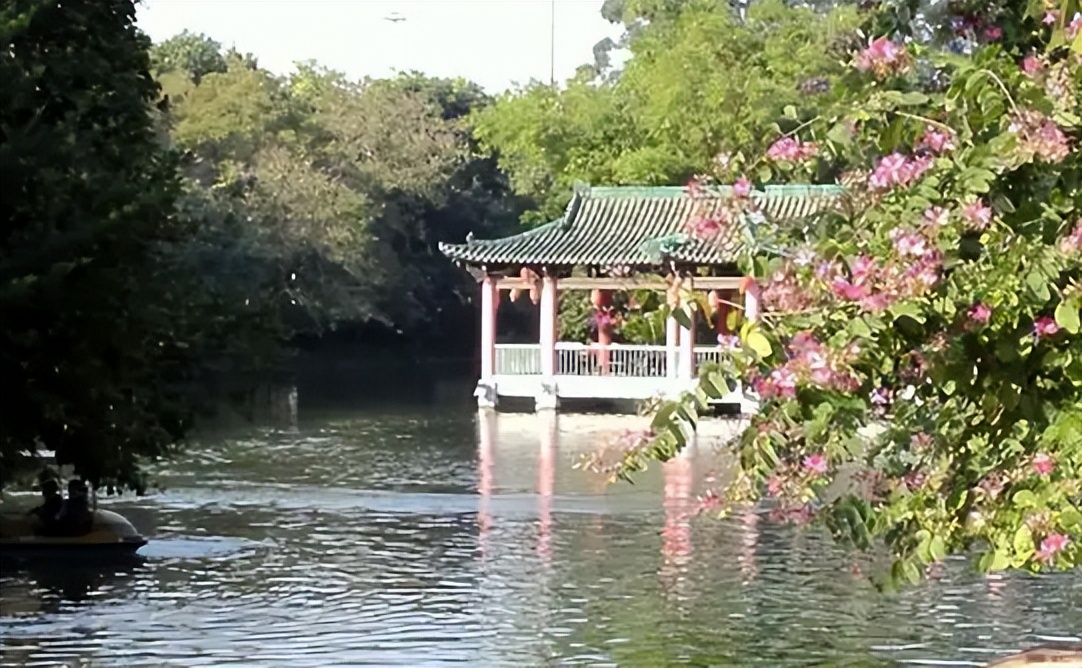 越秀公园的自然人文,广州越秀区的公园有哪些