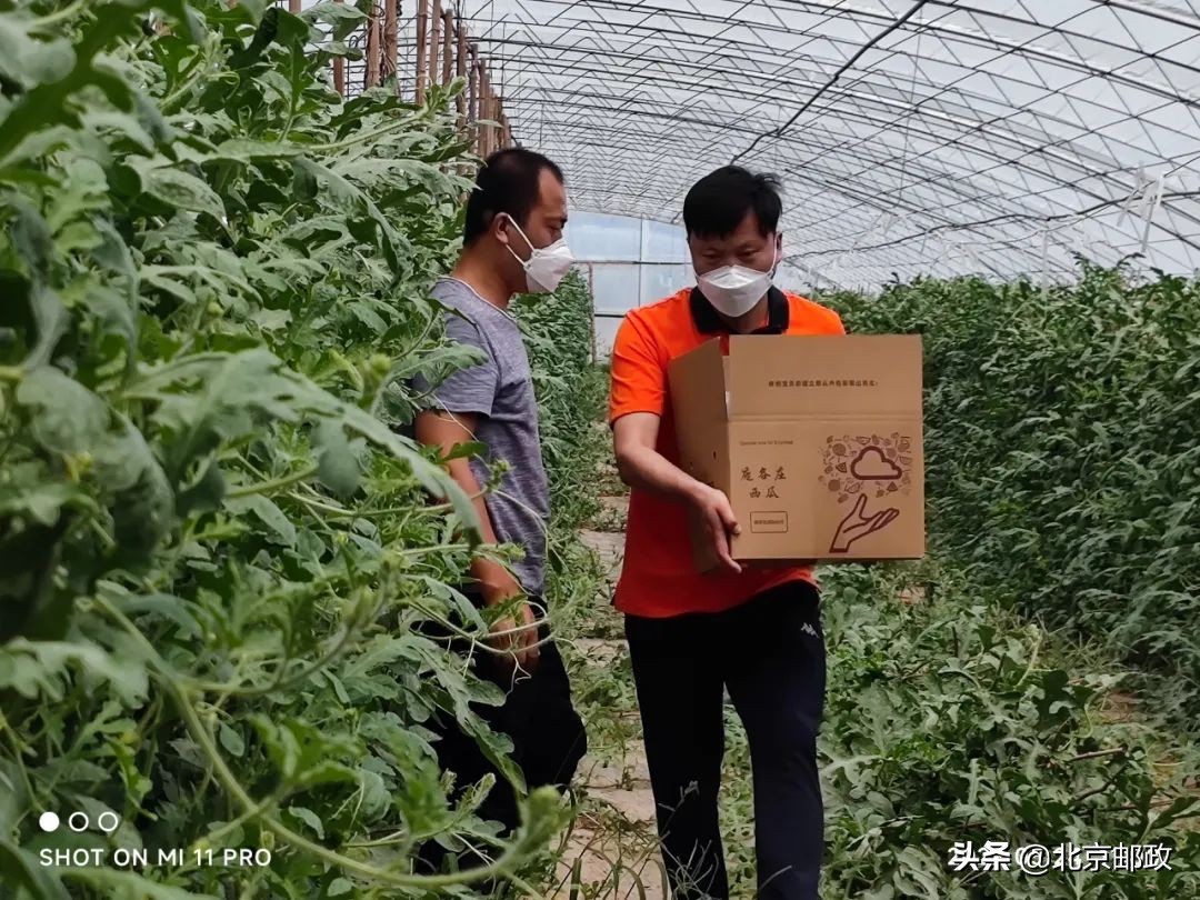 助农解困农产品搭上邮政“快车”