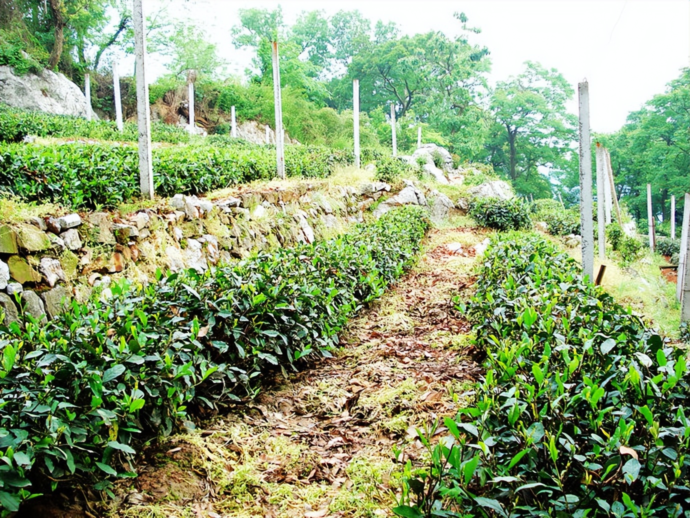 慢游放松体验,杭州慢时光游玩攻略