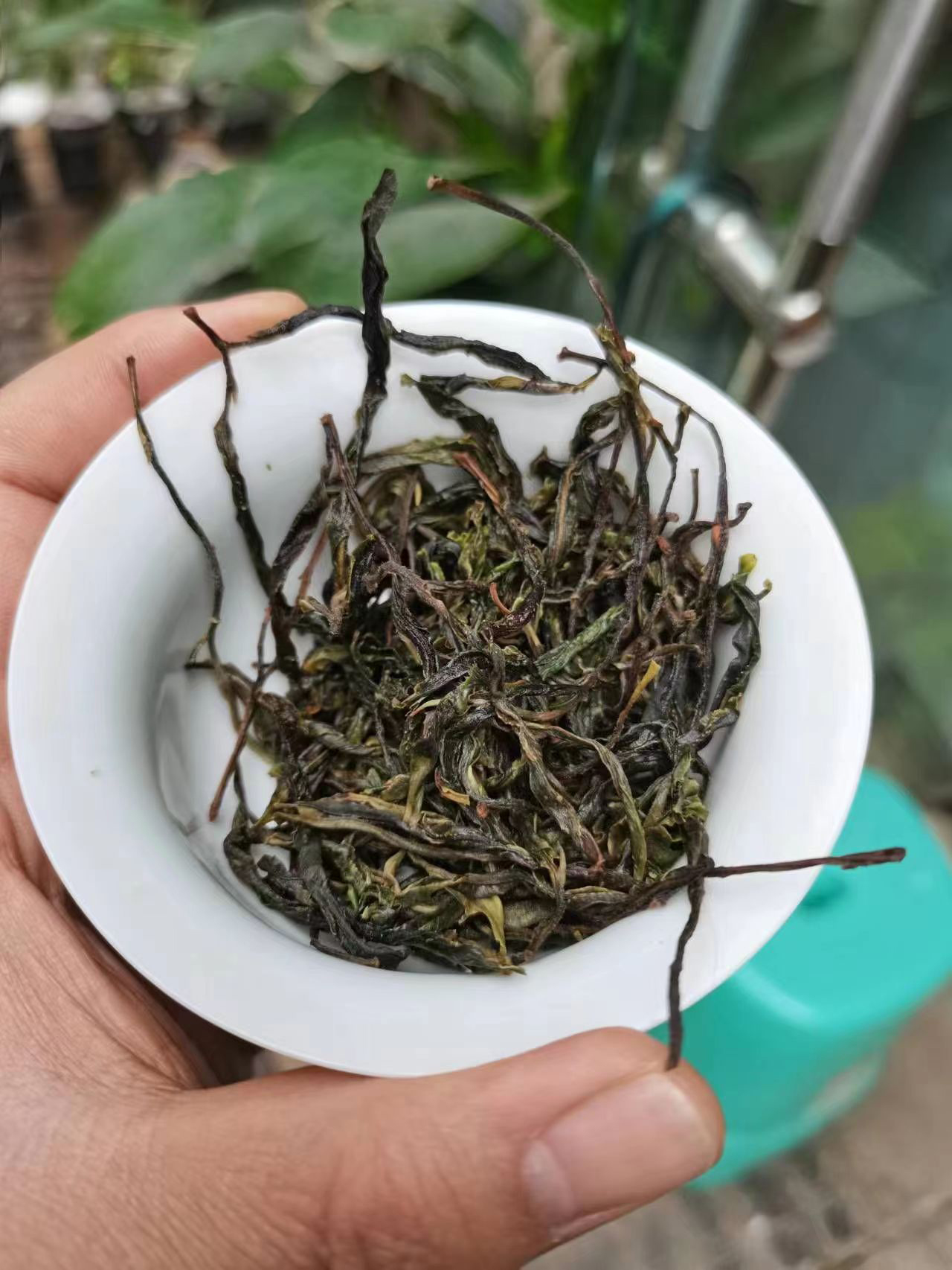 薄荷塘之前叫什么,薄荷塘为什么要叫薄荷塘