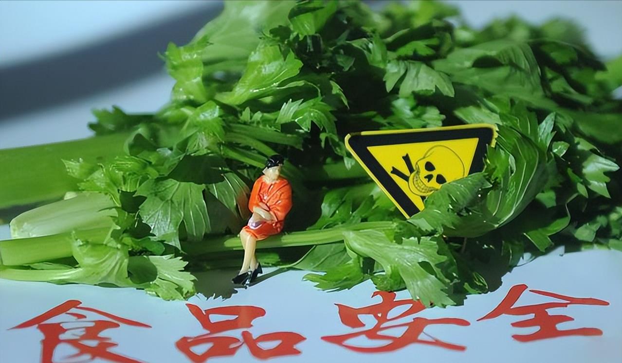 柏氏食品厂,沈阳柏氏食品厂果酱