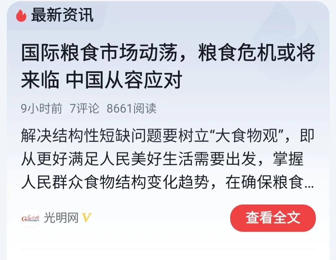 国际粮食股市走势分析最新,国际粮食市场动荡中国从容应对