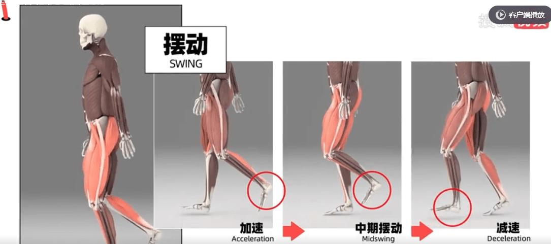 鞋带一扯就开的技法,鞋带环解法图解全图
