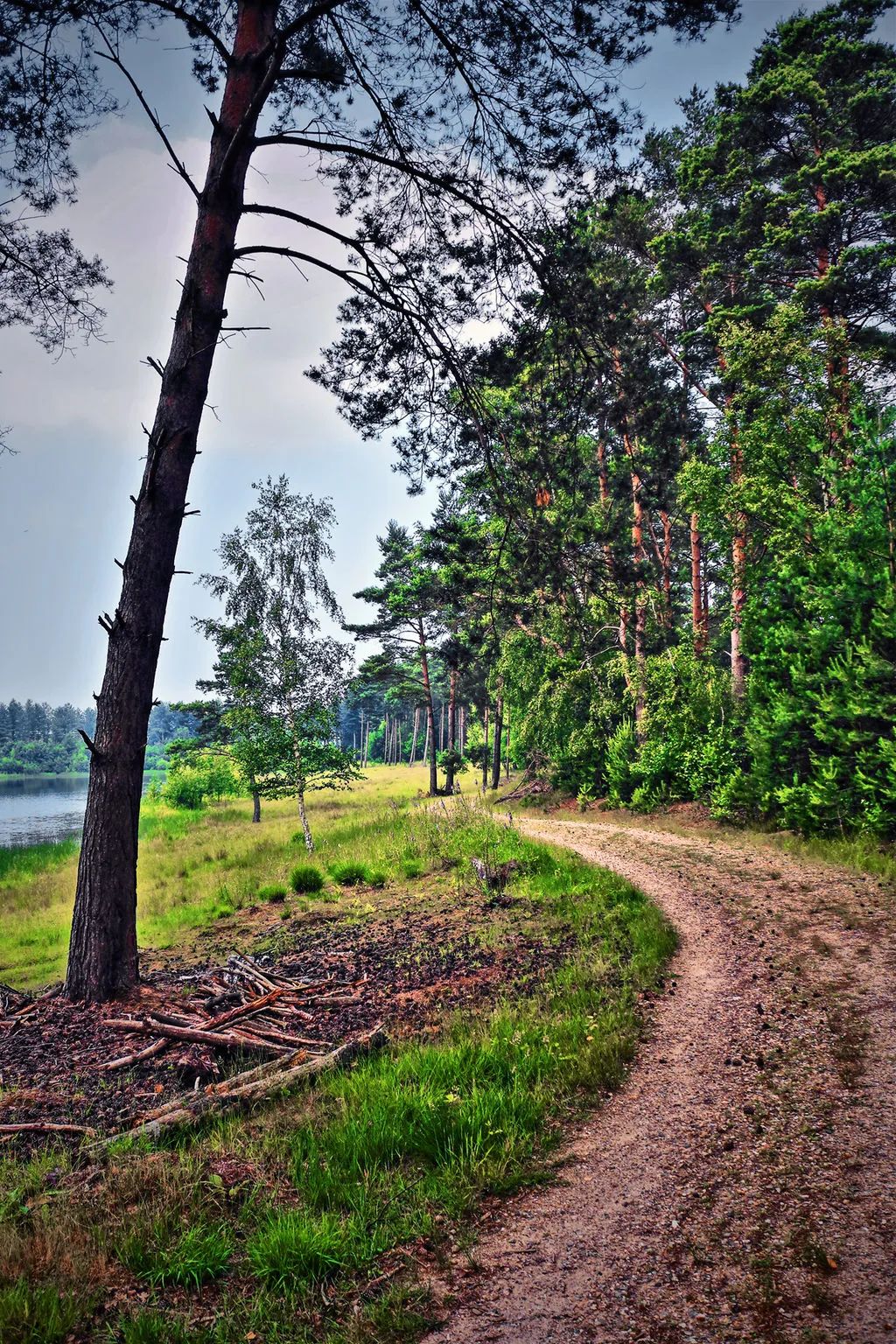 萃取莱茵河精华，亲历德式严谨，穿越德国西南的自驾