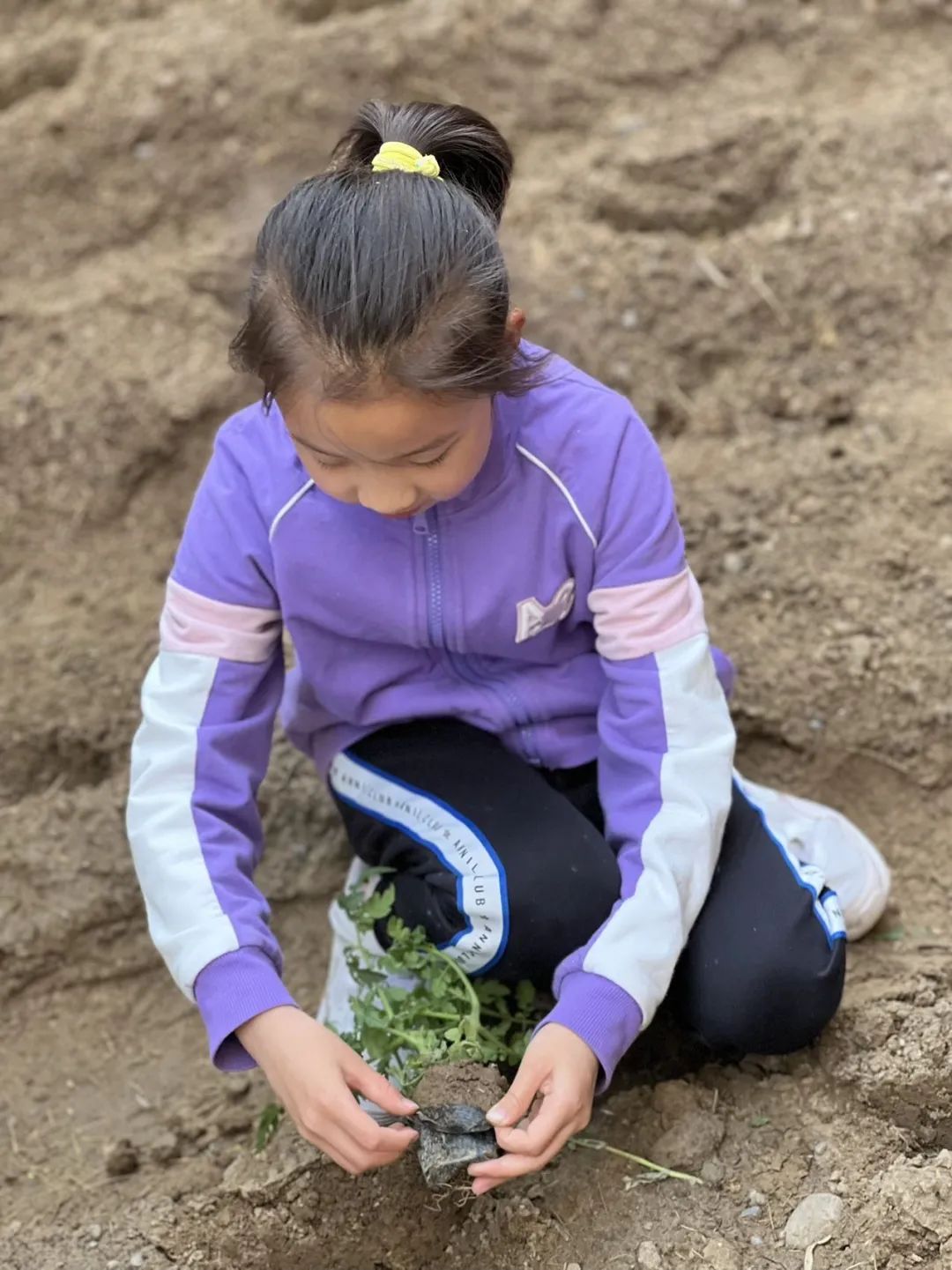 丰台西马金润小学怎么样,丰台西马金润小学