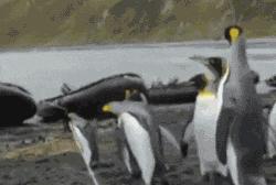 怎么安慰平胸的女孩,女朋友是个平胸怎么办