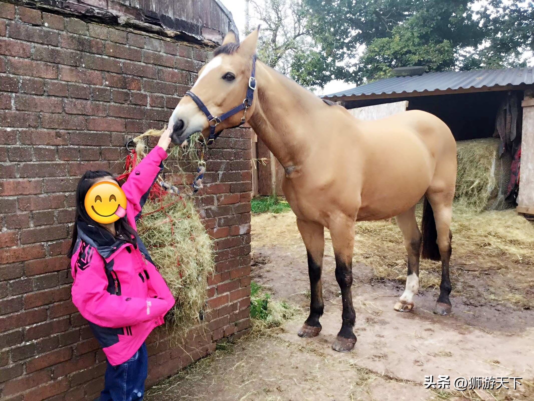 英国陪读活动,英国陪读的日常
